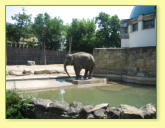 Budapesti állatkert